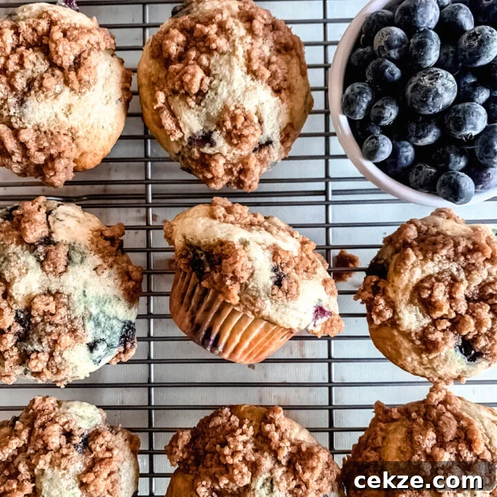 Image for Buttermilk Blueberry Muffins