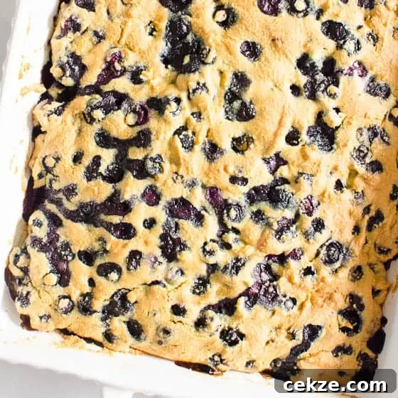 Image for Healthy Blueberry Breakfast Cake
