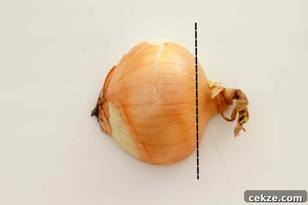 Half an onion with a cut line on it