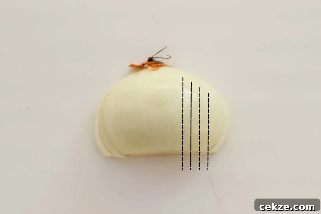 Half a peeled onion that's been sliced twice horizontally with cut lines on it