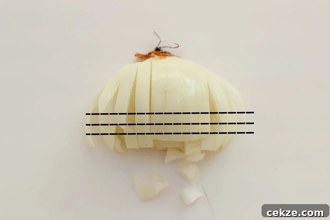 Half a peeled onion that's been sliced twice horizontally and lots vertically, with cut lines on it