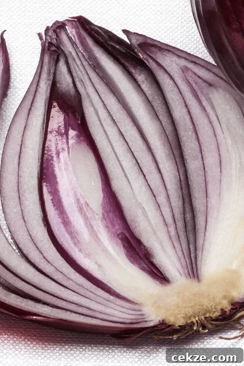 cross section of a red onion
