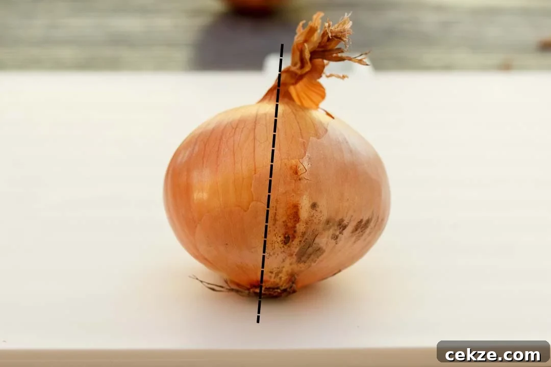 An onion with a cut line on it