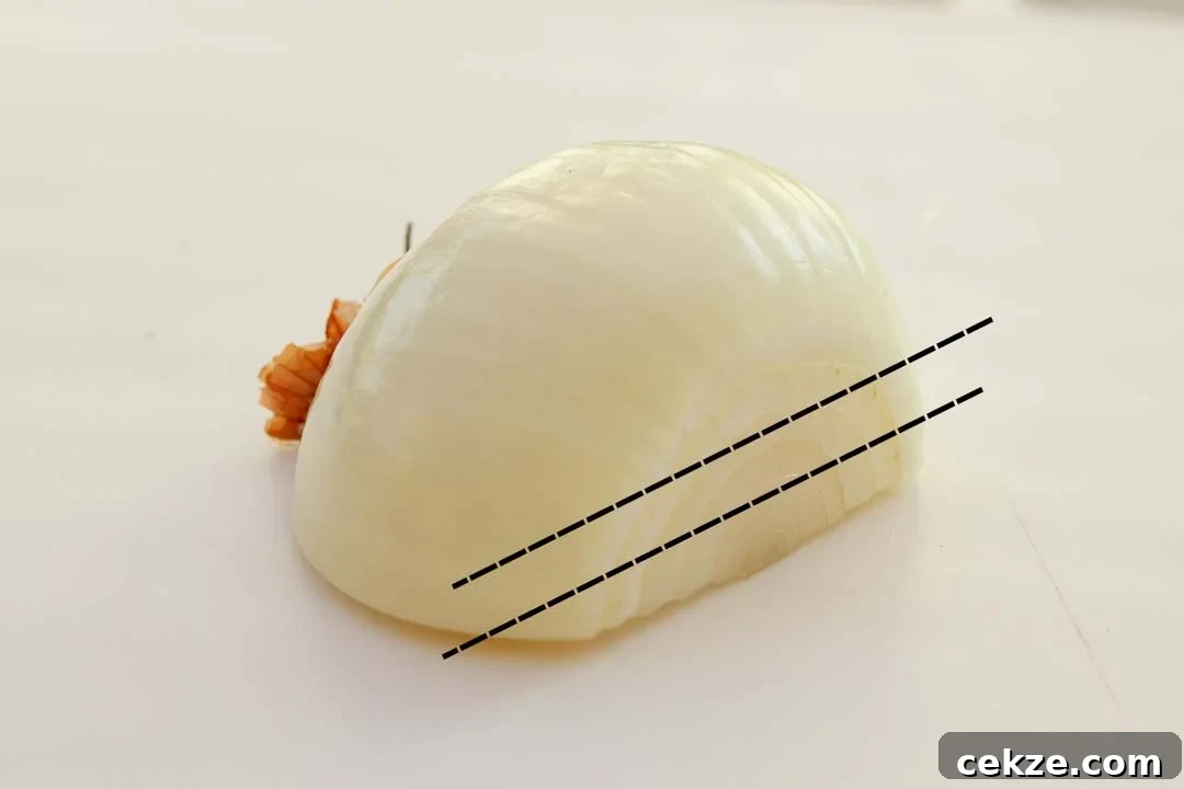 Half a peeled onion with cut lines on