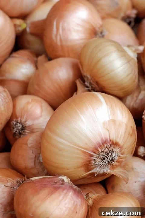 Brown onions in a large pile