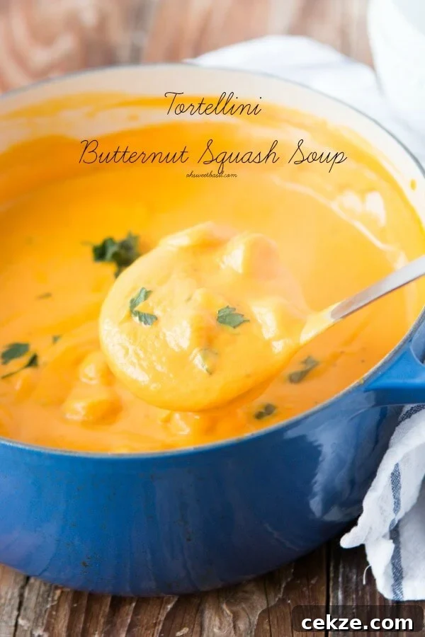 I am usually a chicken tortilla or potato soup girl but I've become obsessed with this creamy tortellini butternut squash soup!