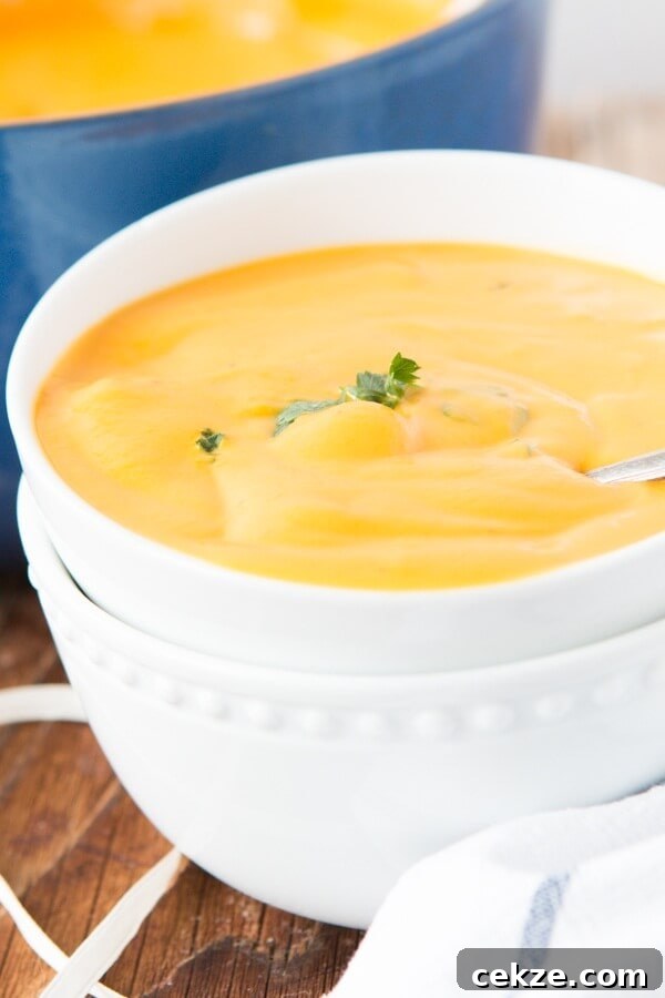 I am usually a chicken tortilla or potato soup girl but I've become obsessed with this creamy tortellini butternut squash soup!