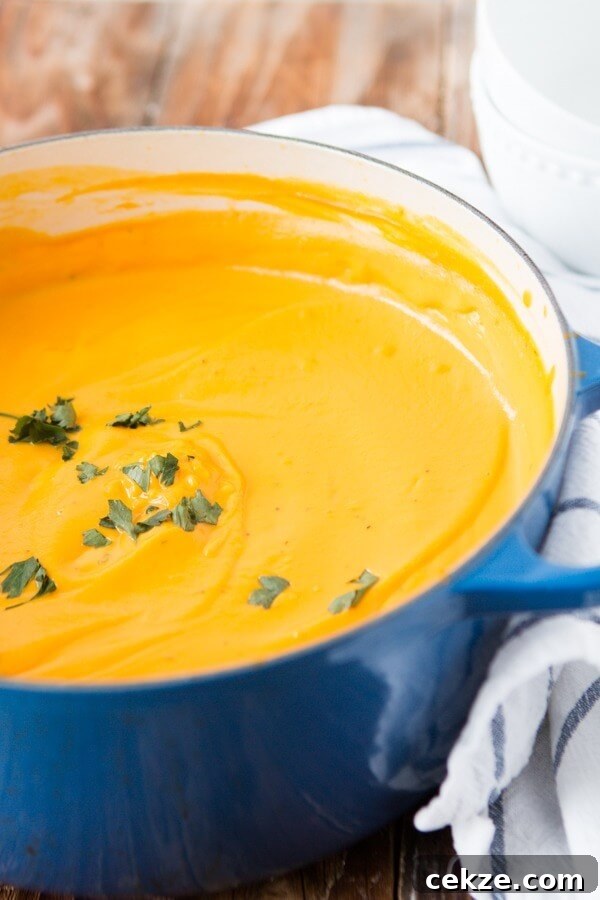 I am usually a chicken tortilla or potato soup girl but I've become obsessed with this creamy tortellini butternut squash soup!