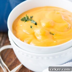 Creamy Roasted Butternut Squash Soup with 2 Secret Ingredients and Tortellini