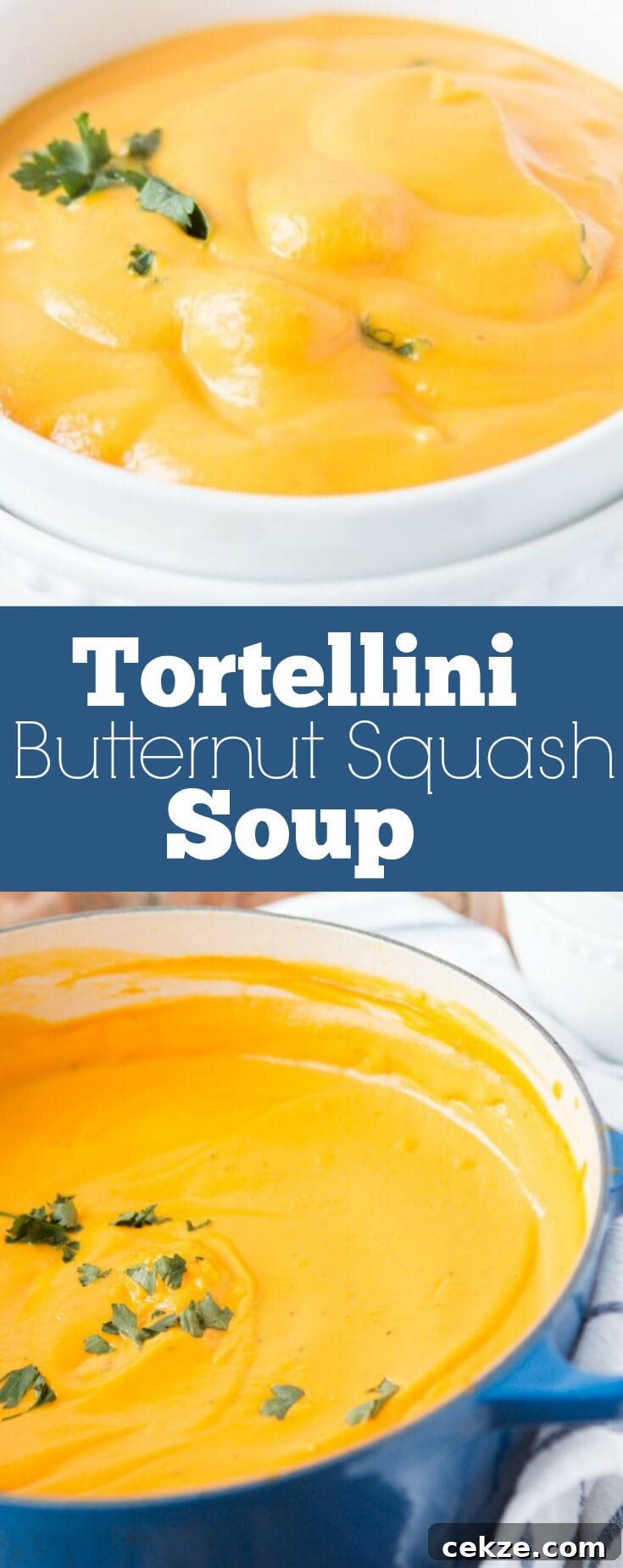 The perfect comfort soup for Fall! We are obsessed with this creamy tortellini butternut squash soup!