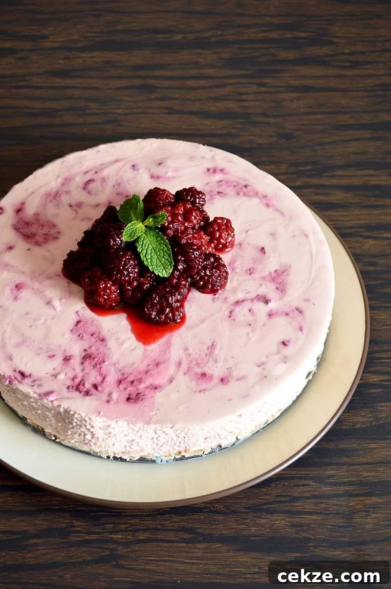 No-Bake Blackberry Cheesecake Recipe with Creamy No-Bake Filling 8 no bake blackberry cheesecake