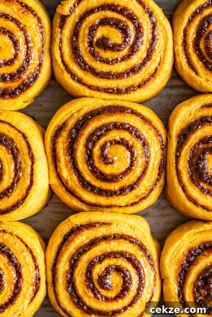 Pumpkin Cinnamon Rolls