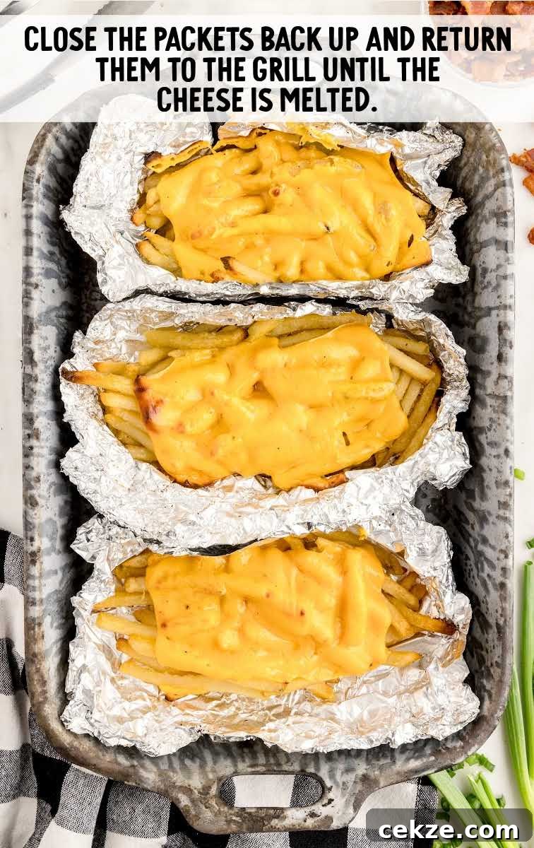 Loaded Dirty Fries Recipe: Crispy Fries Topped with Cheese & Bacon 9 American cheese melted on top of French fries
