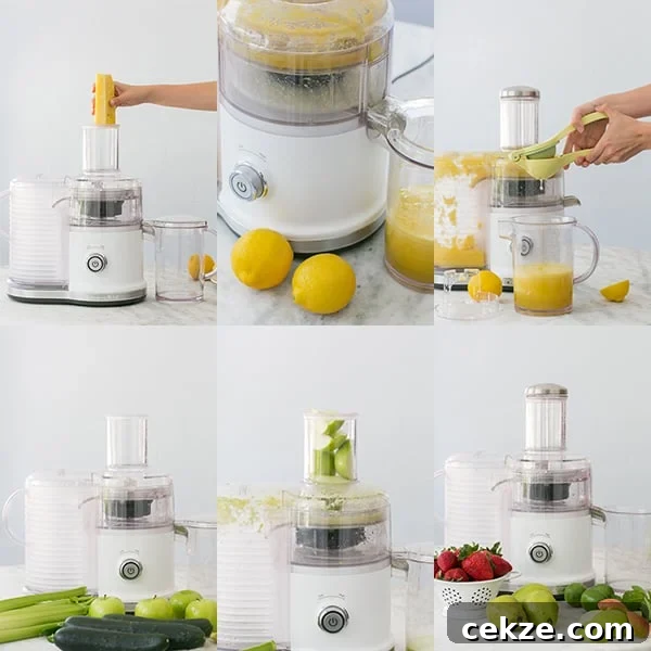 Enjoy Veggies and Nutrient-Packed Green Smoothie Recipes 3 Juicing vegetables and fruit.
