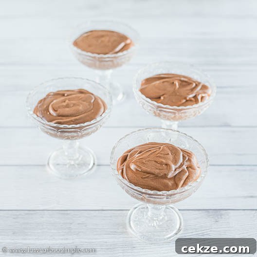 Decadent 5-Ingredient Keto Blender Chocolate Mousse 19 In Serving Bowls | Low-Carb, So Simple
