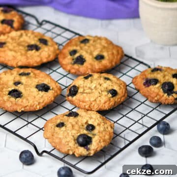 Oatmeal, Honey & Pistachio Cookies Recipe for Crispy, Chewy Bites 6 img 19850 5
