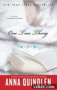 The cover for 