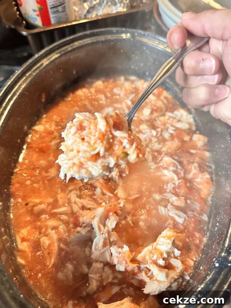 Cooked shredded chicken in red sauce