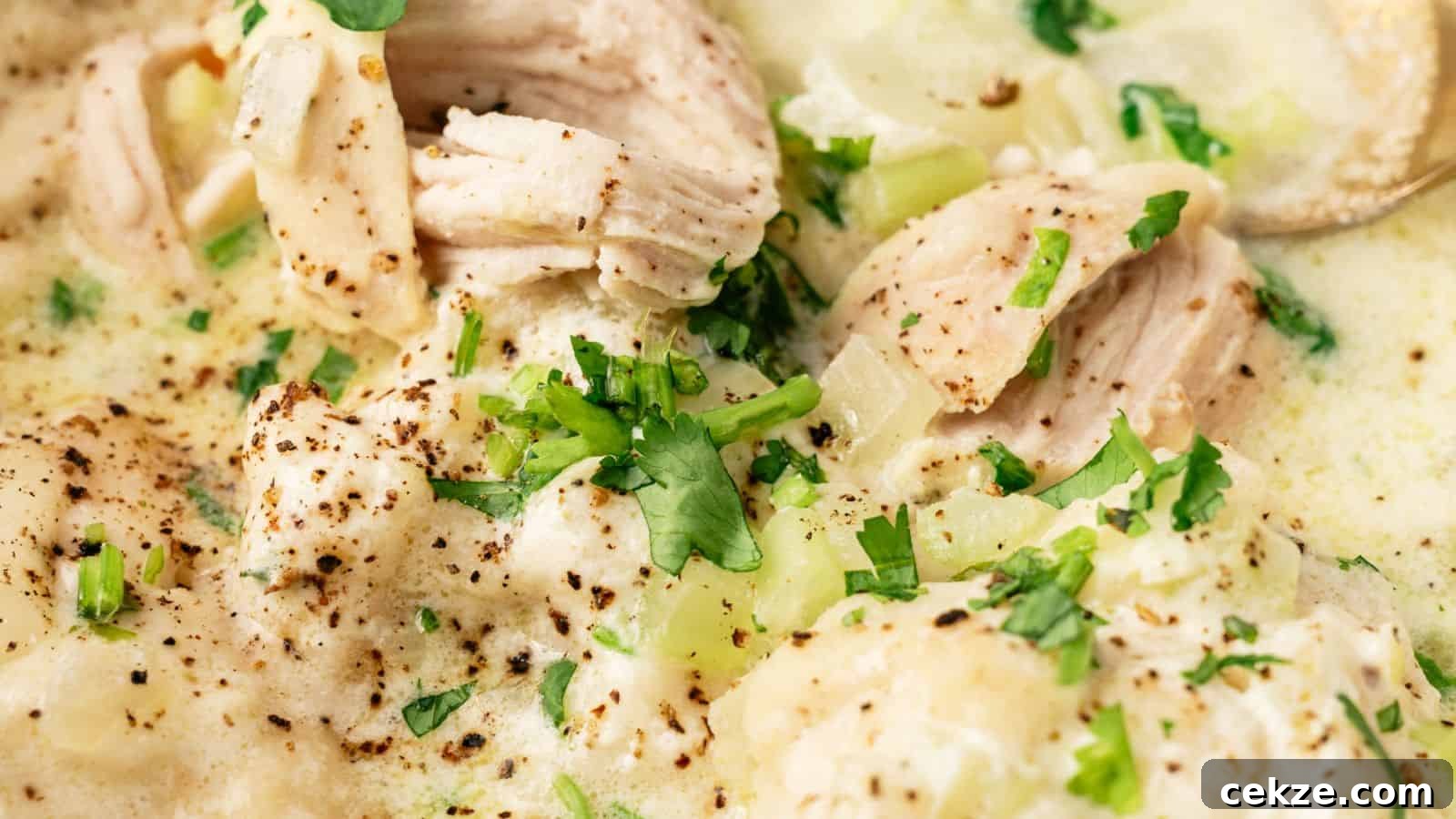 Close-up of creamy chicken and dumplings garnished with chopped parsley and black pepper.