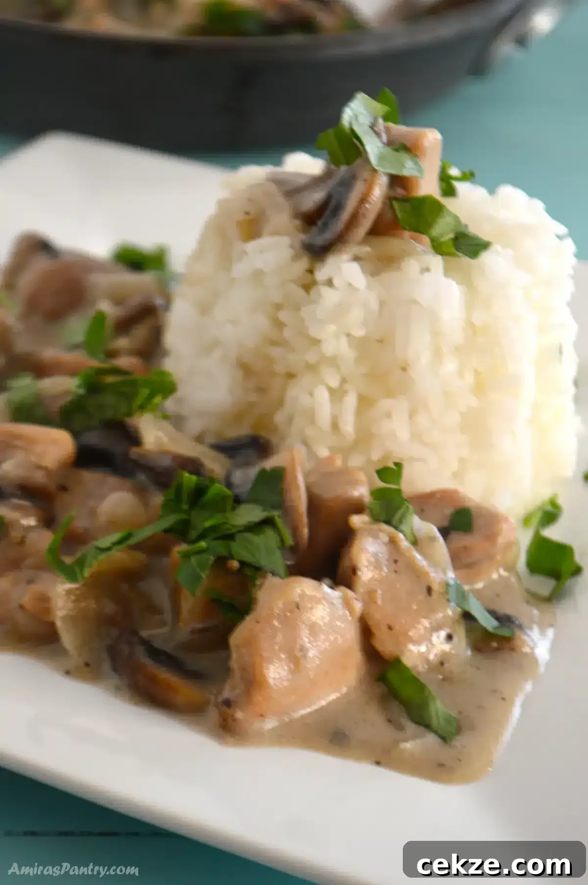 Creamy Garlic Mushroom Chicken Skillet Recipe 4 A plate of rice served with creamy chicken and mushrooms.
