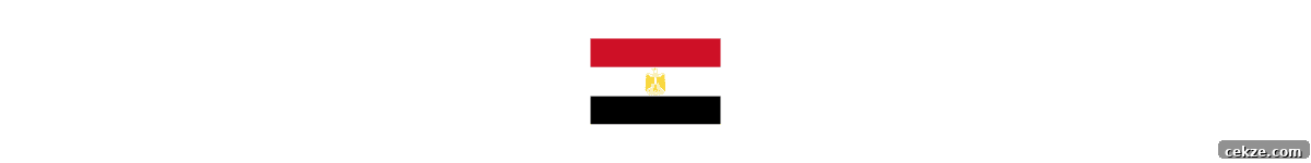 Authentic Egyptian Rice with Toasted Vermicelli Recipe 3 Egypt flag.
