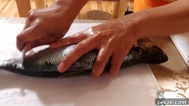 How to Debone Milkfish for Relleno: Step-by-Step Guide 4 Descale from tail to the head