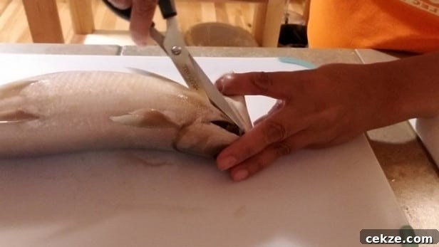 How to Debone Milkfish for Relleno: Step-by-Step Guide 5 Remove gills of the Milkfish