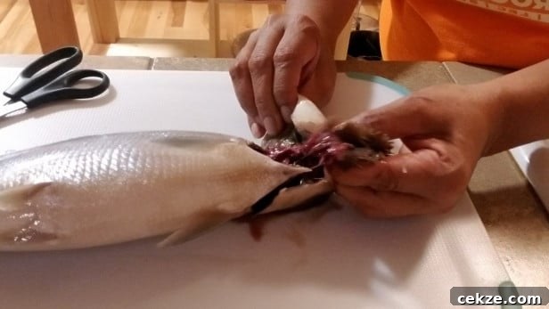 How to Debone Milkfish for Relleno: Step-by-Step Guide 6 remove the gut by pulling it out from the hole