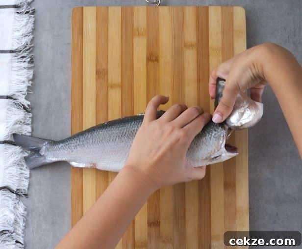 How to Debone Milkfish for Relleno: Step-by-Step Guide 7 How to Debone Milkfish Instruction Bend Neck Part