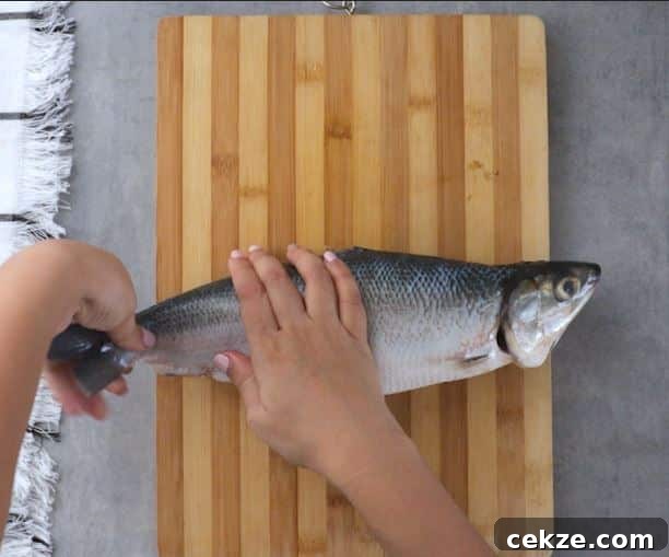 How to Debone Milkfish for Relleno: Step-by-Step Guide 8 How to Debone Milkfish Instruction Bend Tail Part