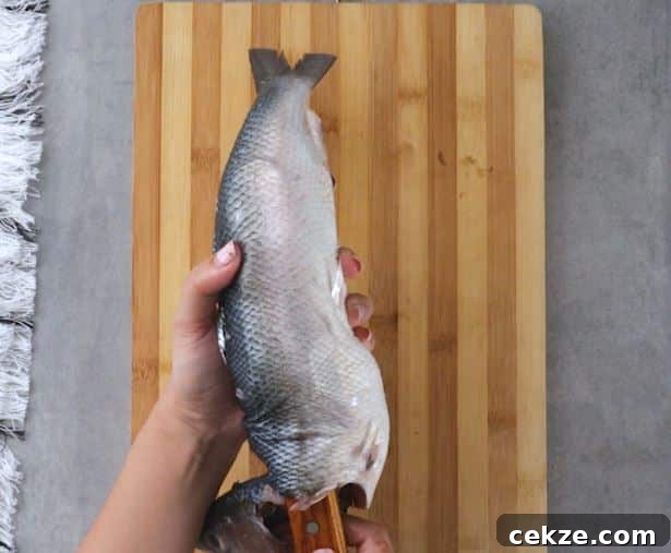 How to Debone Milkfish for Relleno: Step-by-Step Guide 9 Scrape Meat using a Spatula