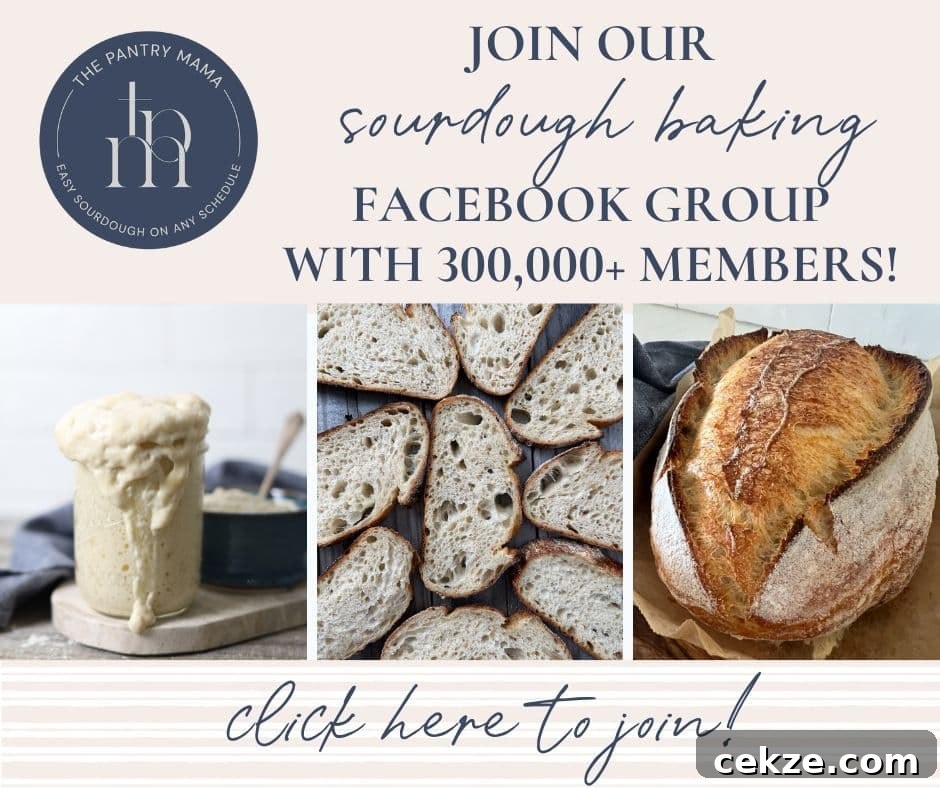 Sourdough Guinness Beer Bread — St. Patrick's Day Loaf 11 img 22860 13