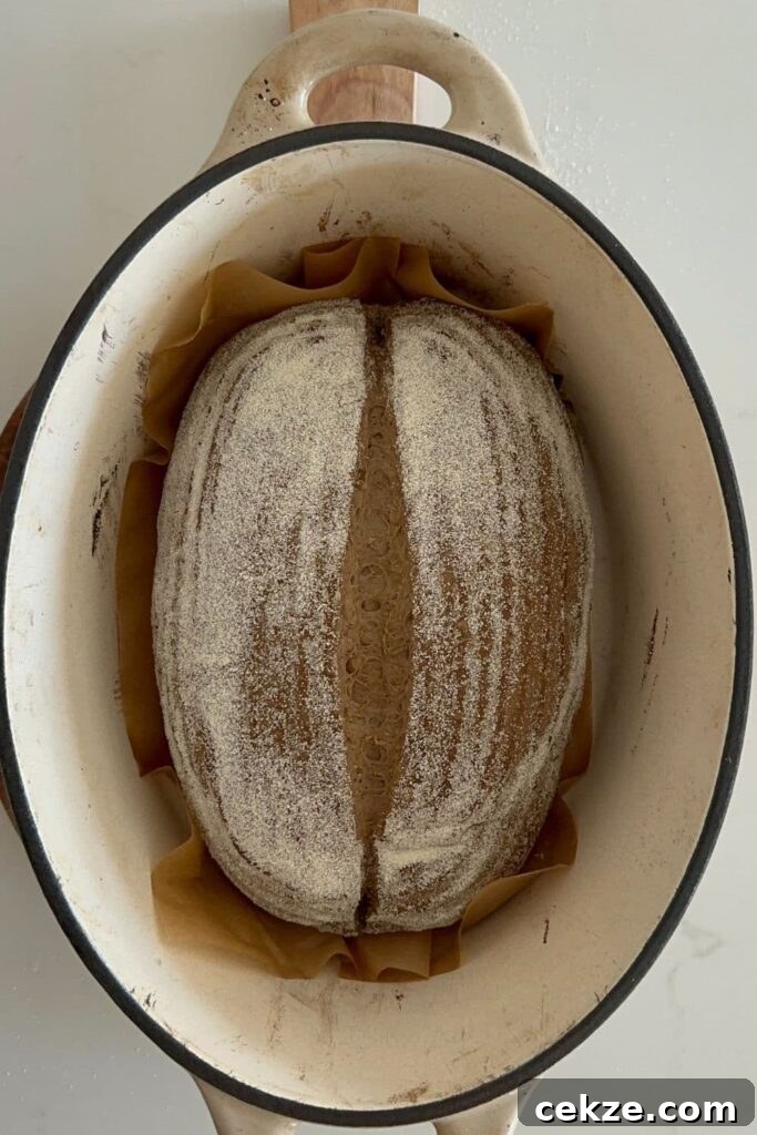 Sourdough Guinness Beer Bread — St. Patrick's Day Loaf 8 A loaf of Guinness sourdough bread waiting to be baked. The dough is sitting in a cream enamel Dutch Oven.