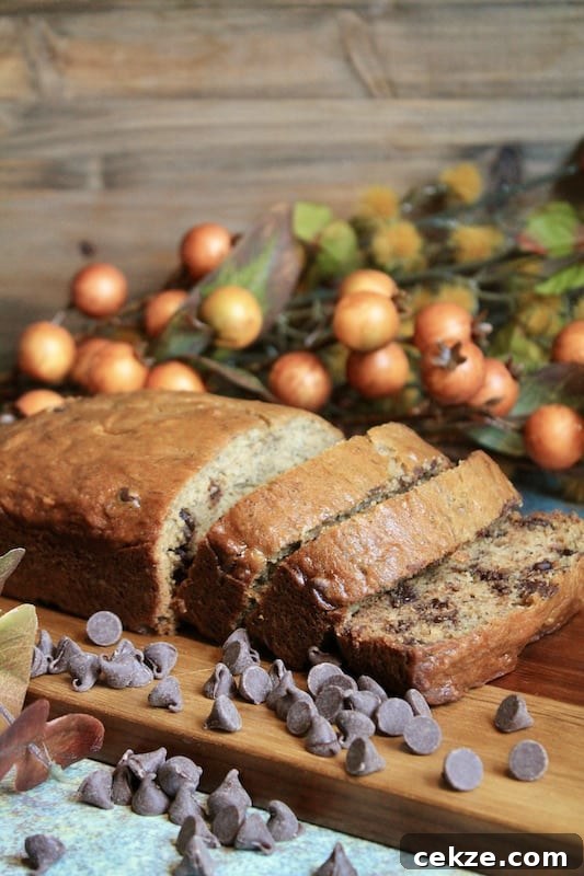 chocolate chip banana bread
