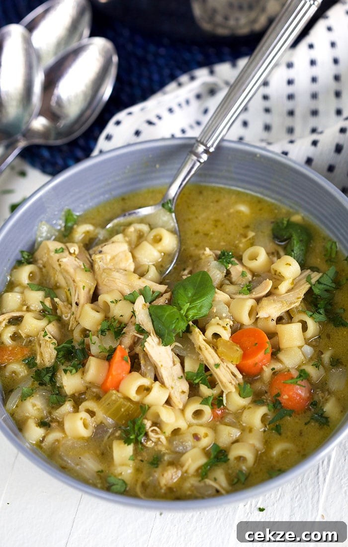 Pesto Chicken Noodle Soup in a gray bowl.