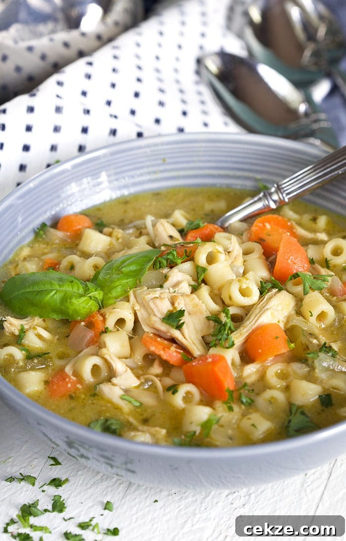 Pesto Chicken Noodle Soup in a gray bowl.