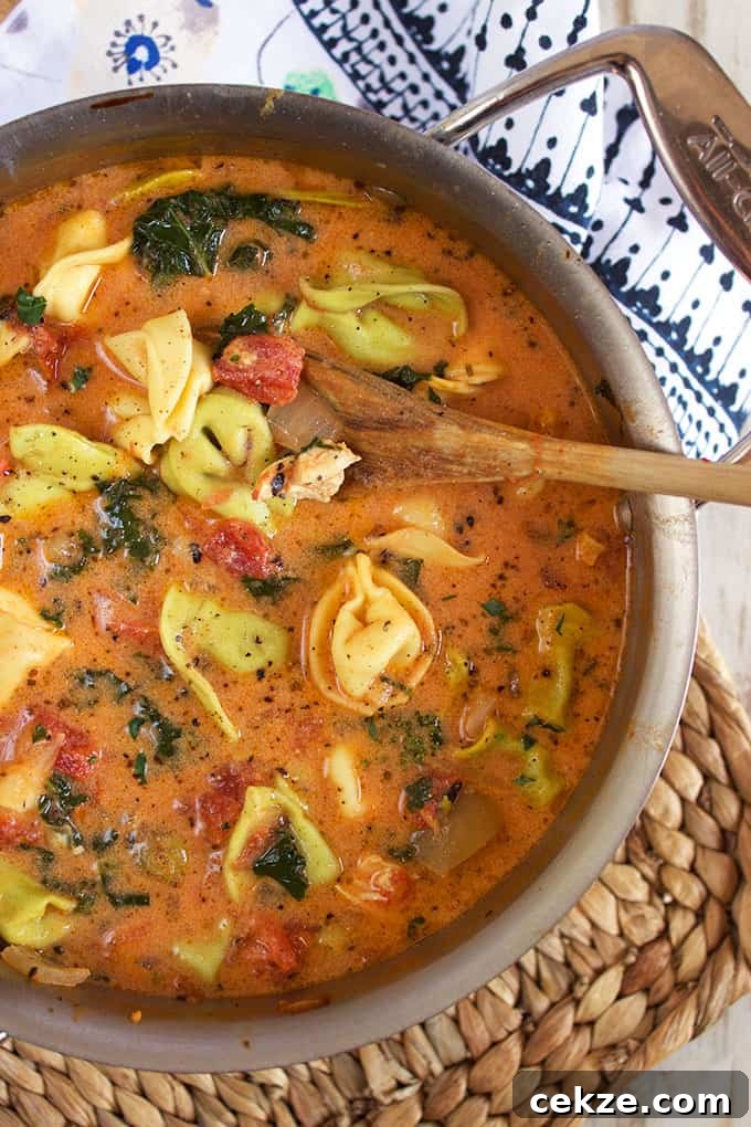 Ready in just 30 minutes, this Creamy Tuscan Chicken Tortellini Soup recipe is a family favorite.