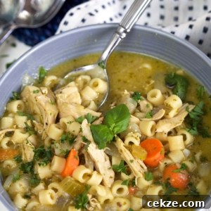 Pesto Chicken Noodle Soup in a gray bowl.
