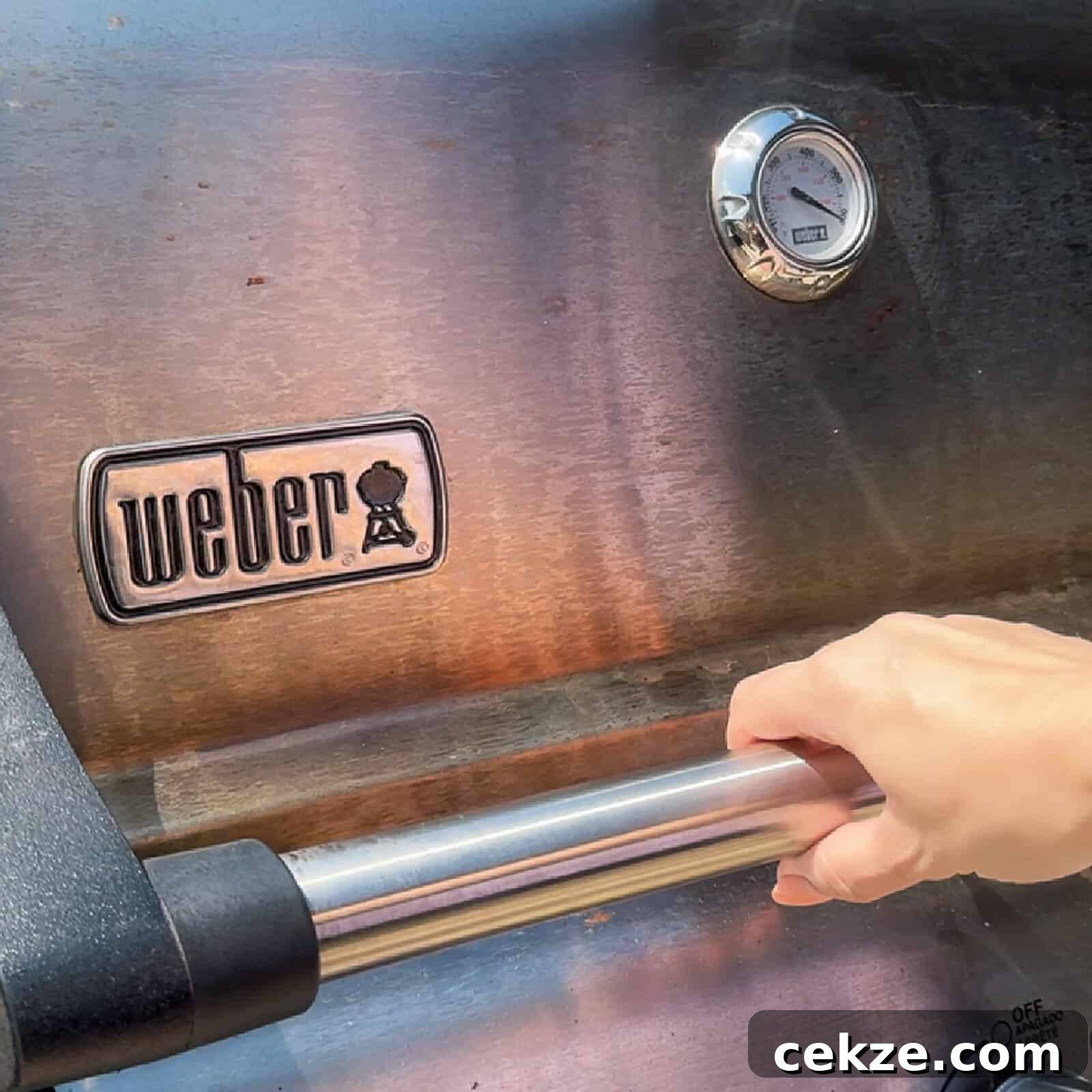 Grilled Watermelon Recipes: Sweet, Smoky Fruit for Summer BBQs 9 Weber Gas Grill
