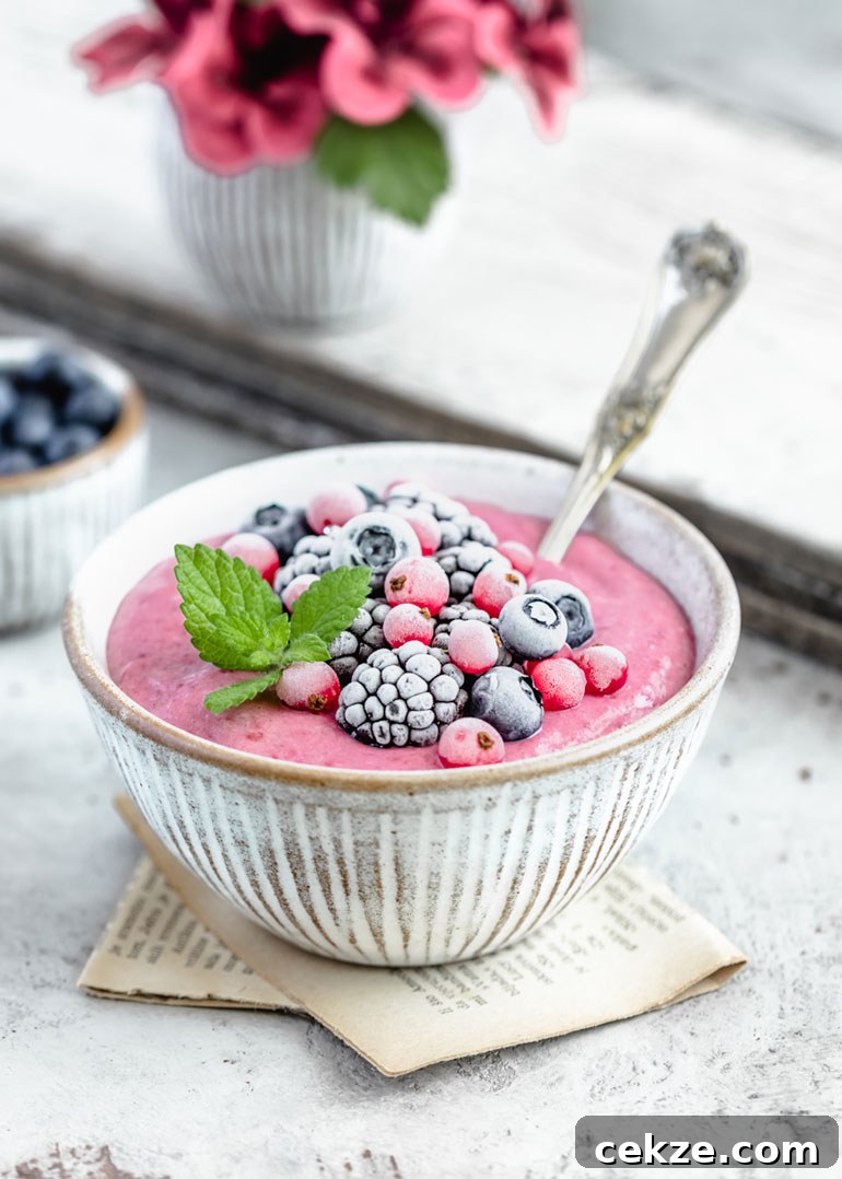 Millet Blackberry Breakfast Bowl