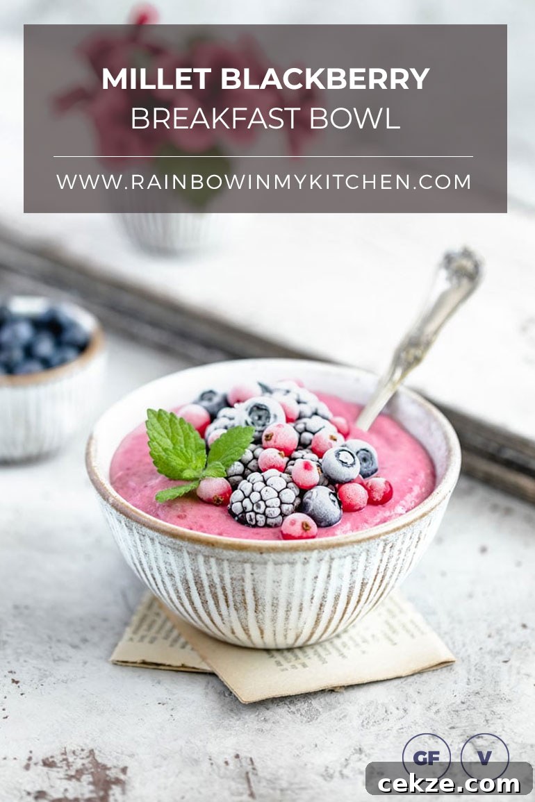 Millet Blackberry Breakfast Bowl