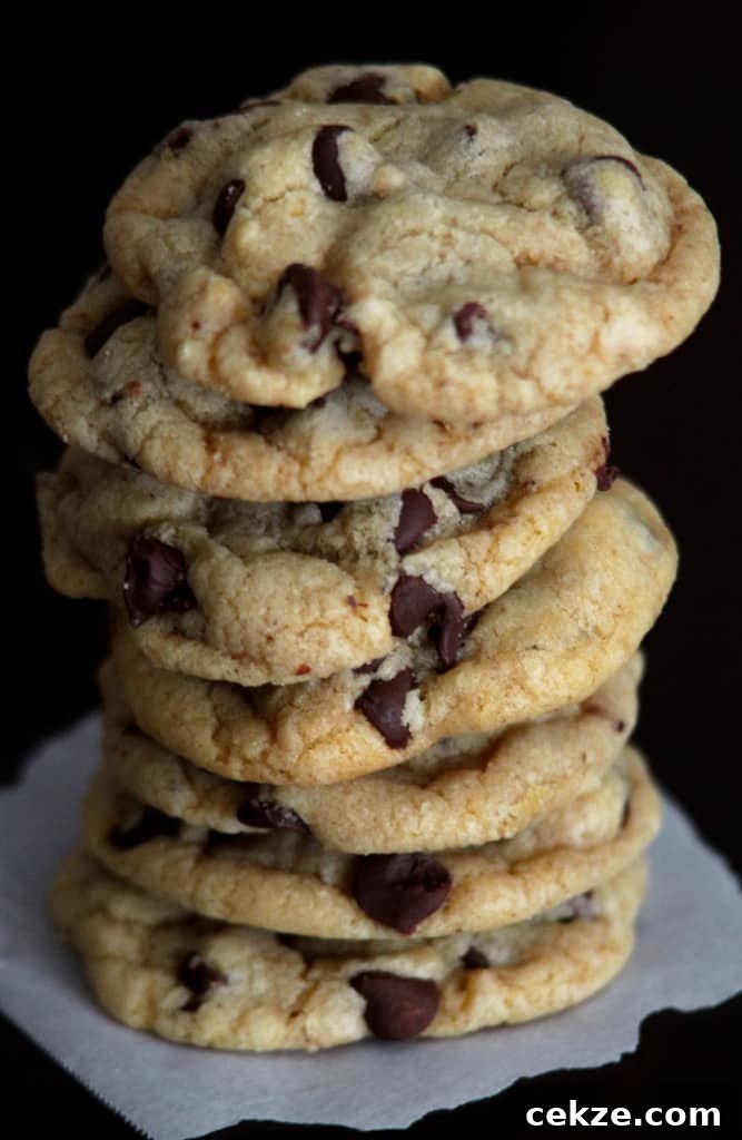 Best SOFT chocolate chip cookies I've ever had and no mixer needed!