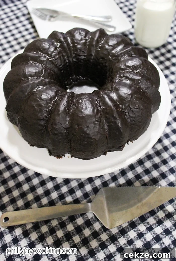 Otis’s Moist Scratch Chocolate Bundt Cake Recipe 9 Moist Chocolate Bundt Cake