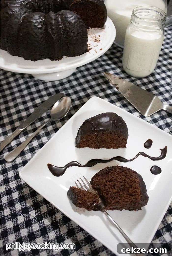 Otis’s Moist Scratch Chocolate Bundt Cake Recipe 10 Bundt Chocolate Cake