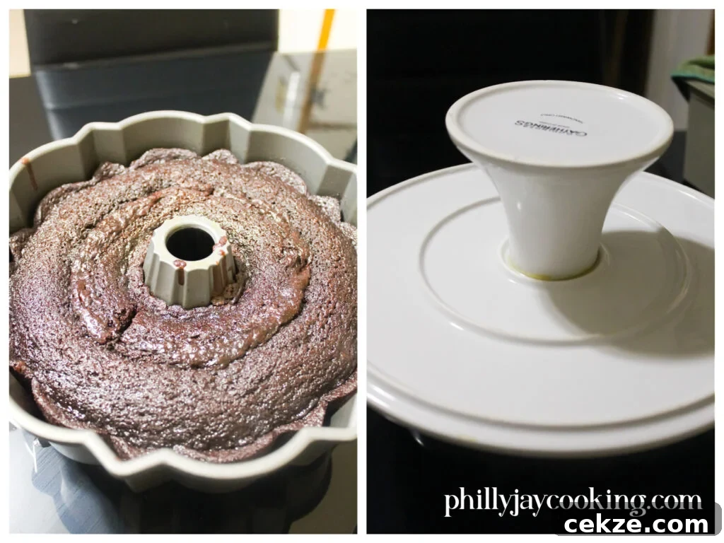 Otis’s Moist Scratch Chocolate Bundt Cake Recipe 5 Chocolate