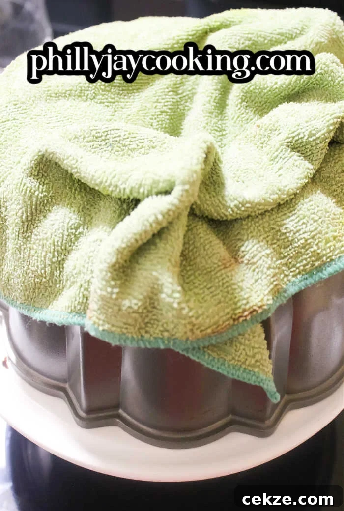 Otis’s Moist Scratch Chocolate Bundt Cake Recipe 6 Chocolate