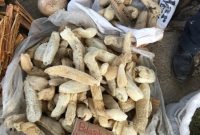Using Loofah in the Kitchen: 7 Practical Ways to Cook, Clean, and Store