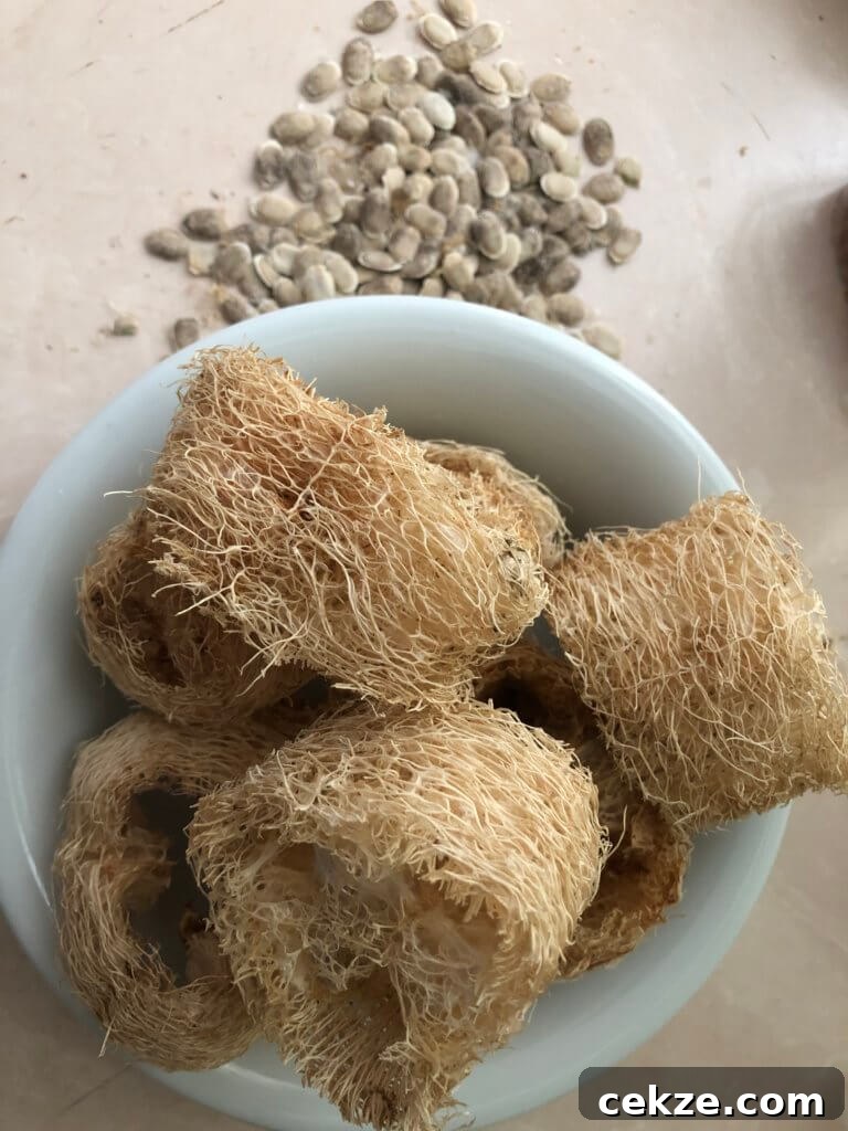img 26507 2