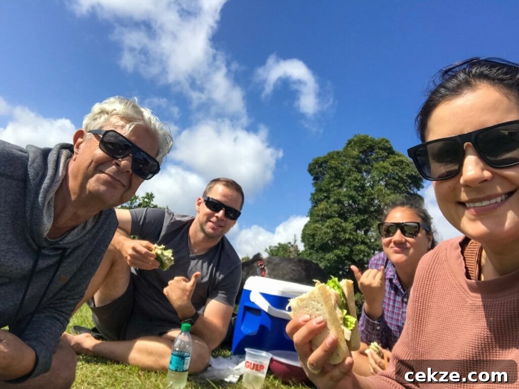 Scenic Oʻahu Lookouts You Can Drive To 5 Our group of four picnicking at Puʻu ʻUalakaʻa State Wayside Park, also known as Tantalus Lookout, on Oʻahu.