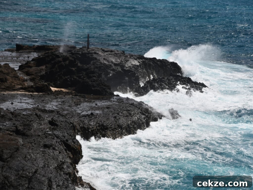 Scenic Oʻahu Lookouts You Can Drive To 8 Halona Blowhole spray seen from the lookout.